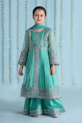 3 Piece Embroidered Organza Suit | MKS-EA24-31